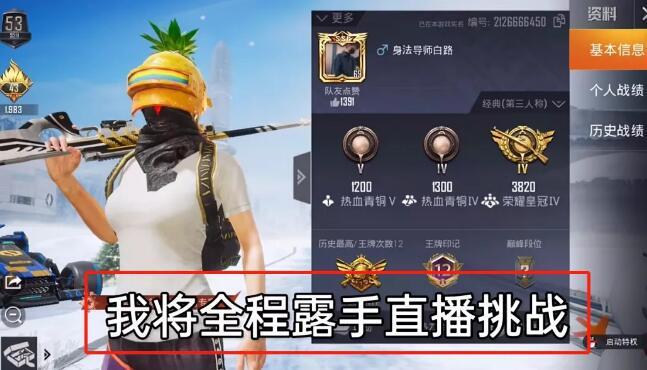和平精英【星光】iOS辅助